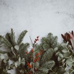 photo of green leafed plants